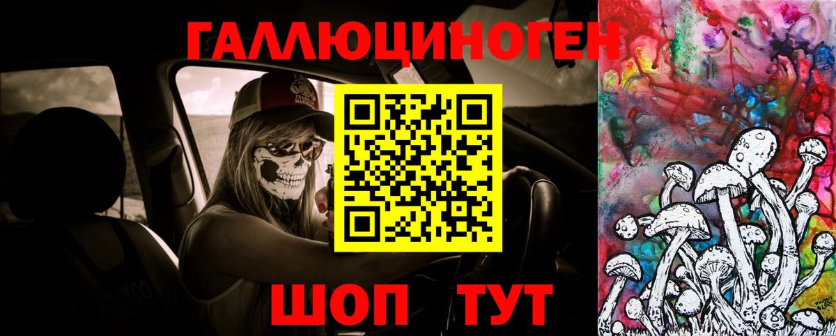 Карасук  Галлюциногенные грибы GOLDEN TEACHER  Вход с VPN 