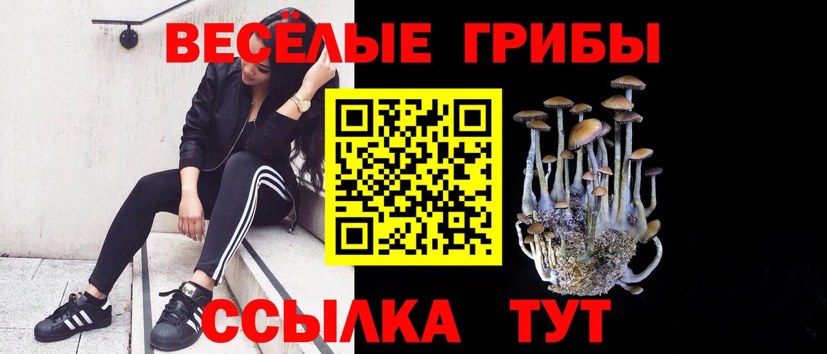 Галлюциногенные грибы прущие грибы Карасук